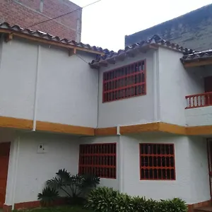 Palmas Del Estadio 2 , Medellín Colombia
