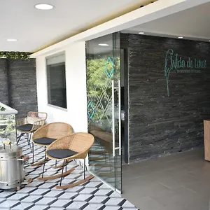 Boutique Nido De Loros , Medellín Colombia